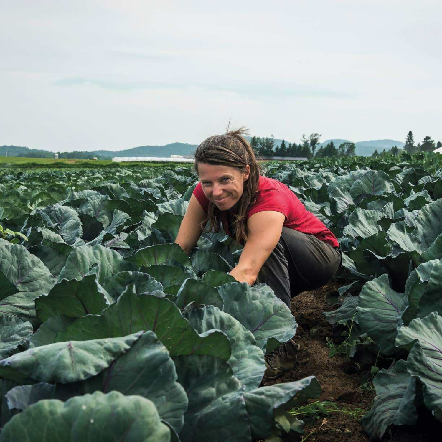 Cuisiner sans recettes