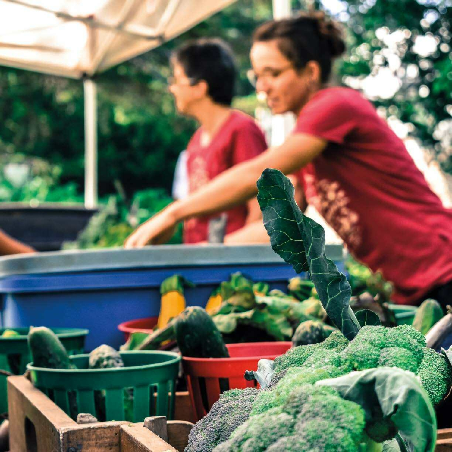 Cuisiner sans recettes