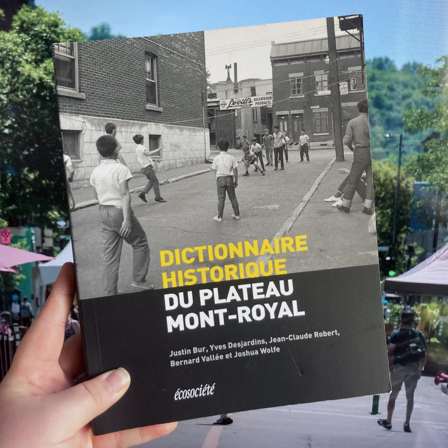 Le retour des suggestions de lecture !