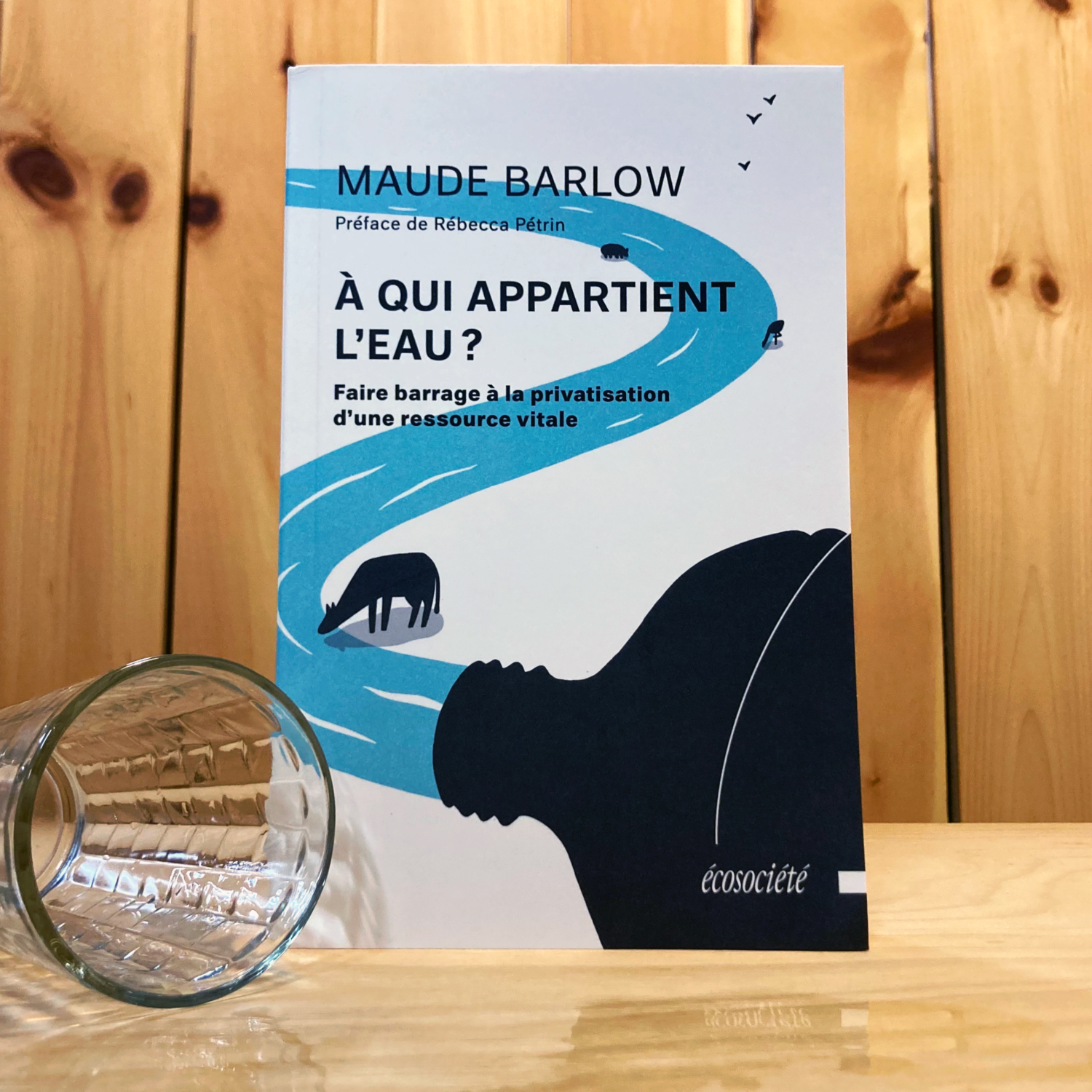 La coopération internationale face à la crise imminente de l'eau