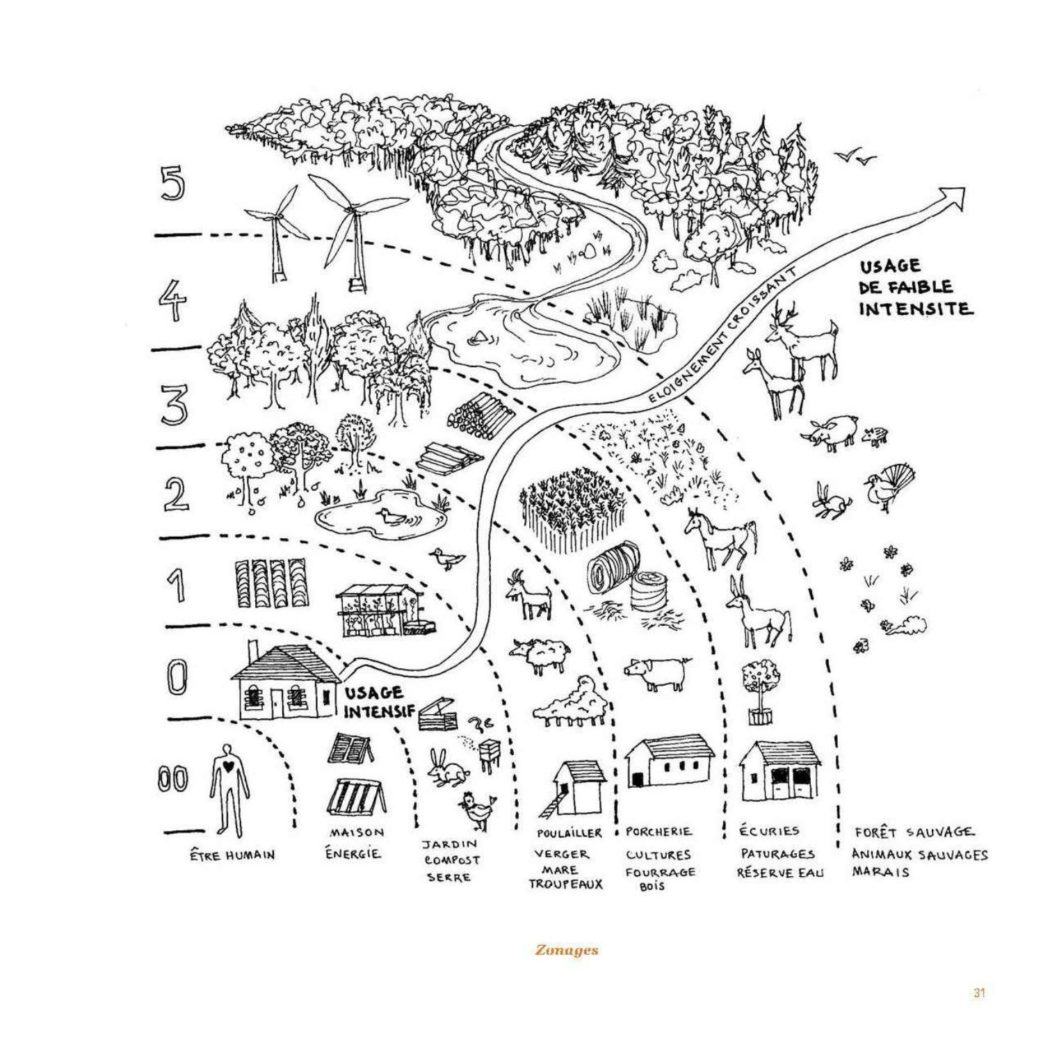 Permaculture humaine