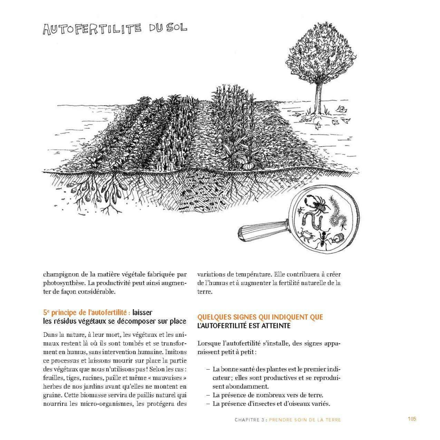 Permaculture humaine