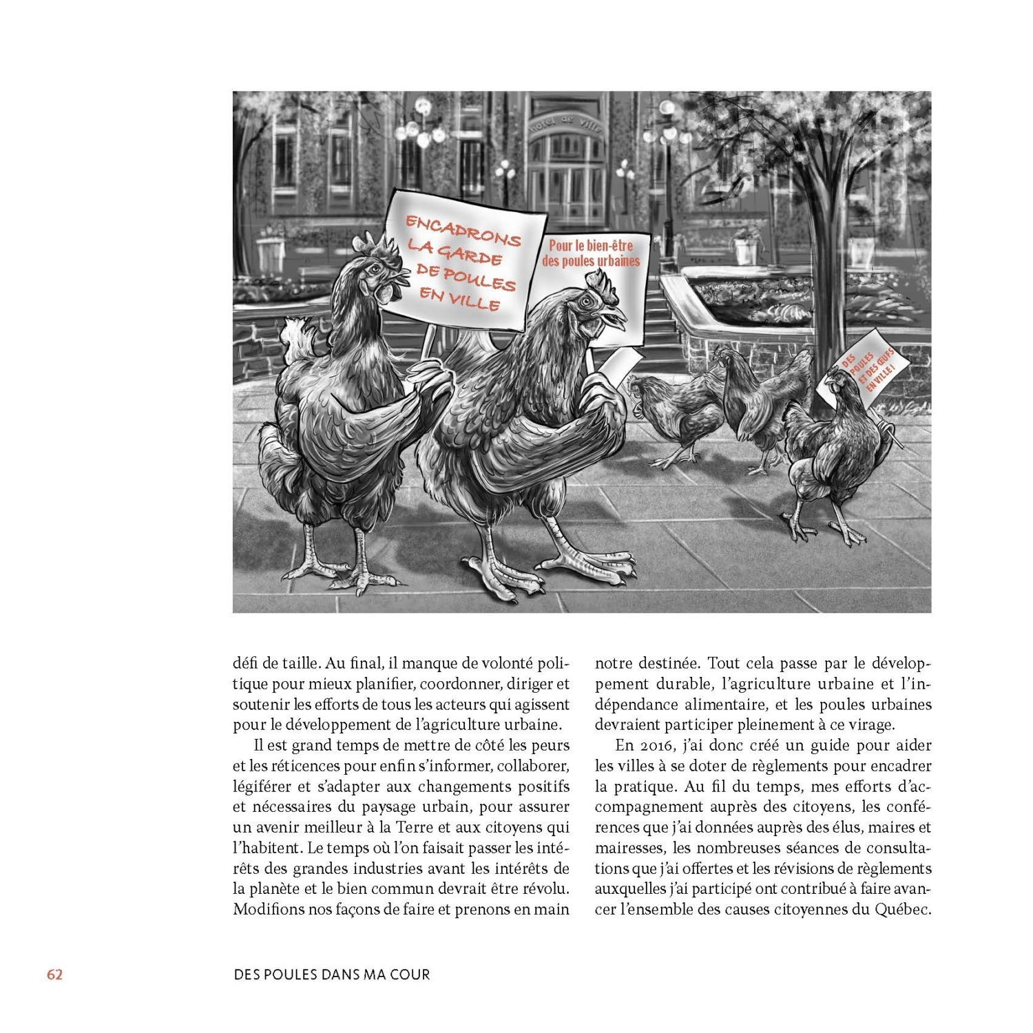 Des poules dans ma cour