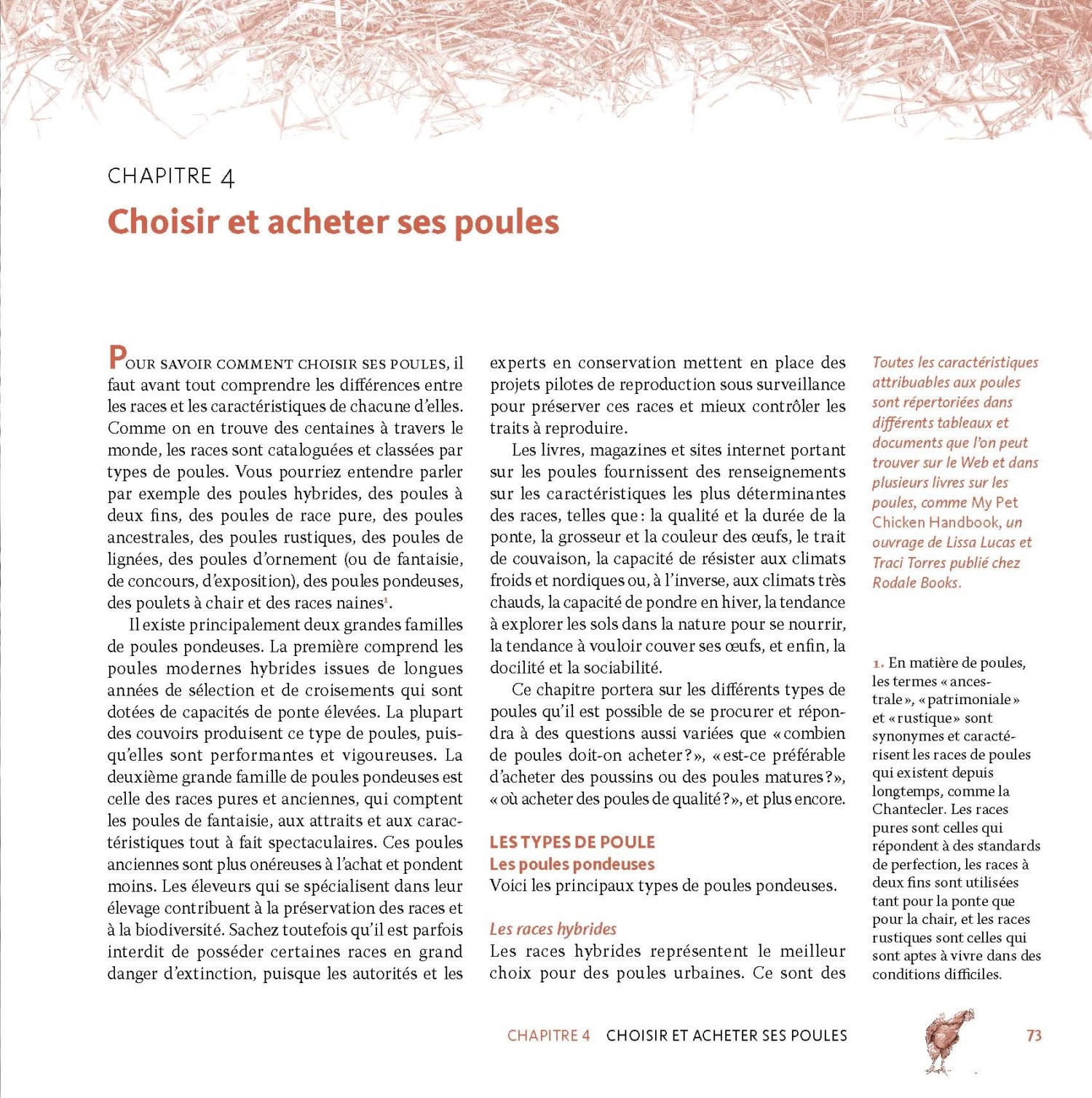 Des poules dans ma cour