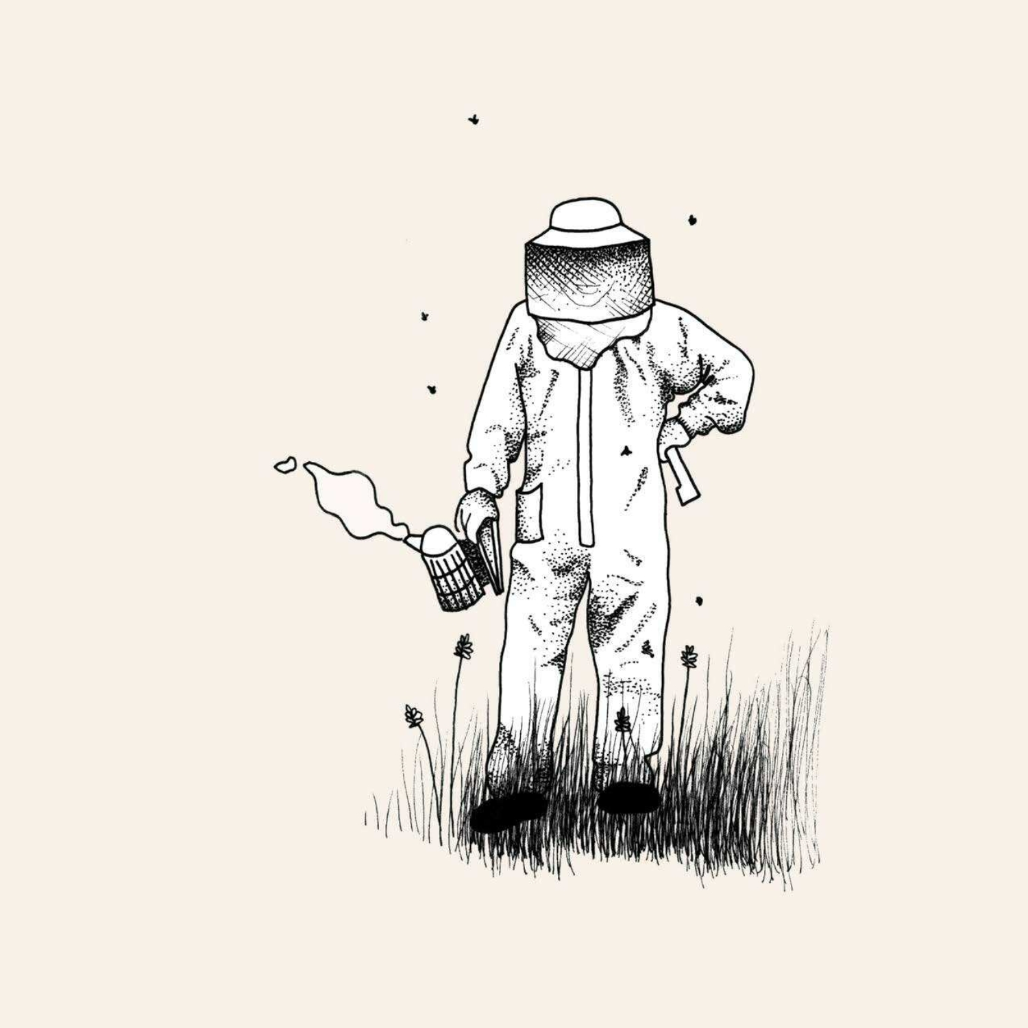 L'abeille et la ruche