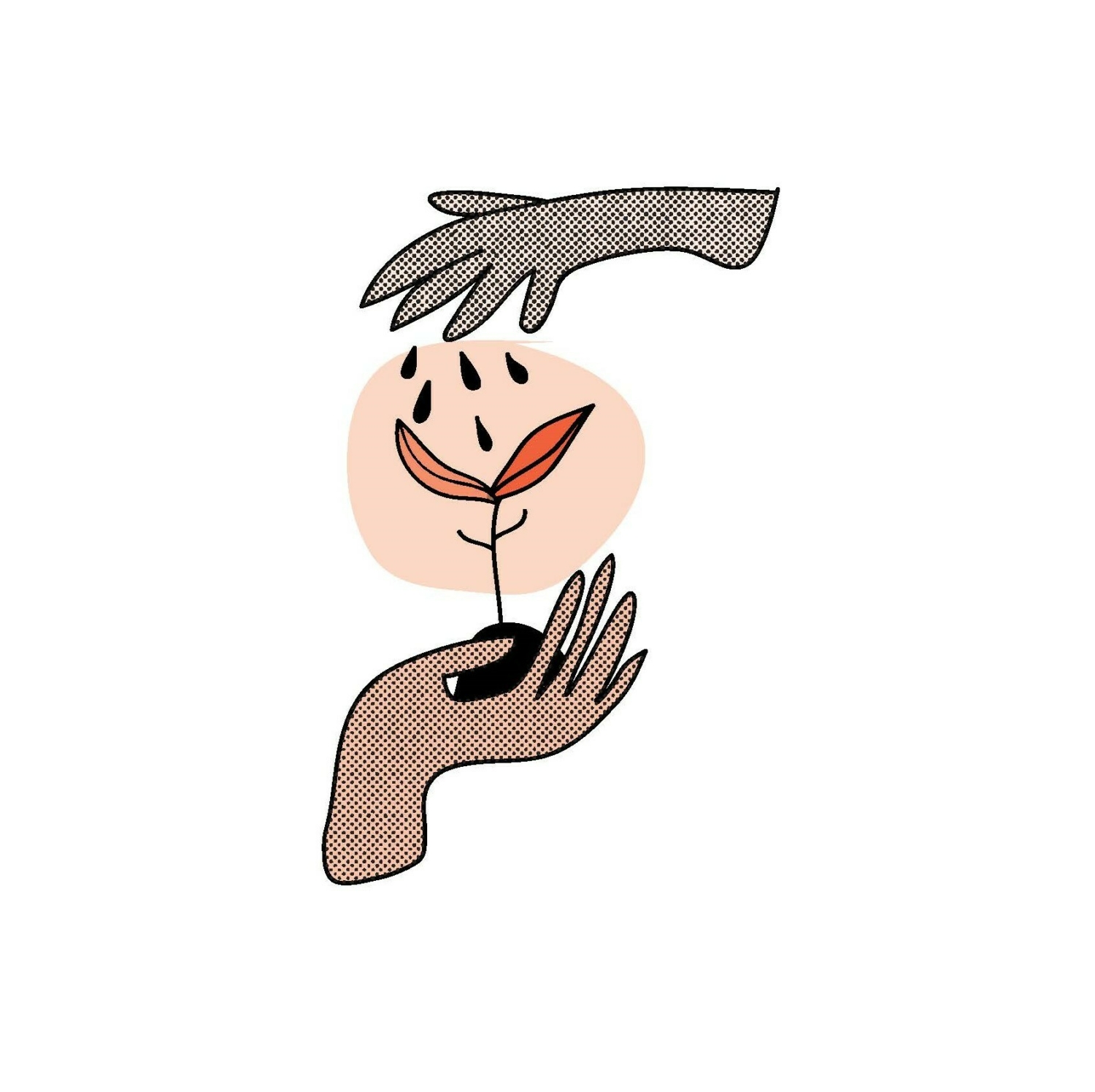 De l'école au jardin