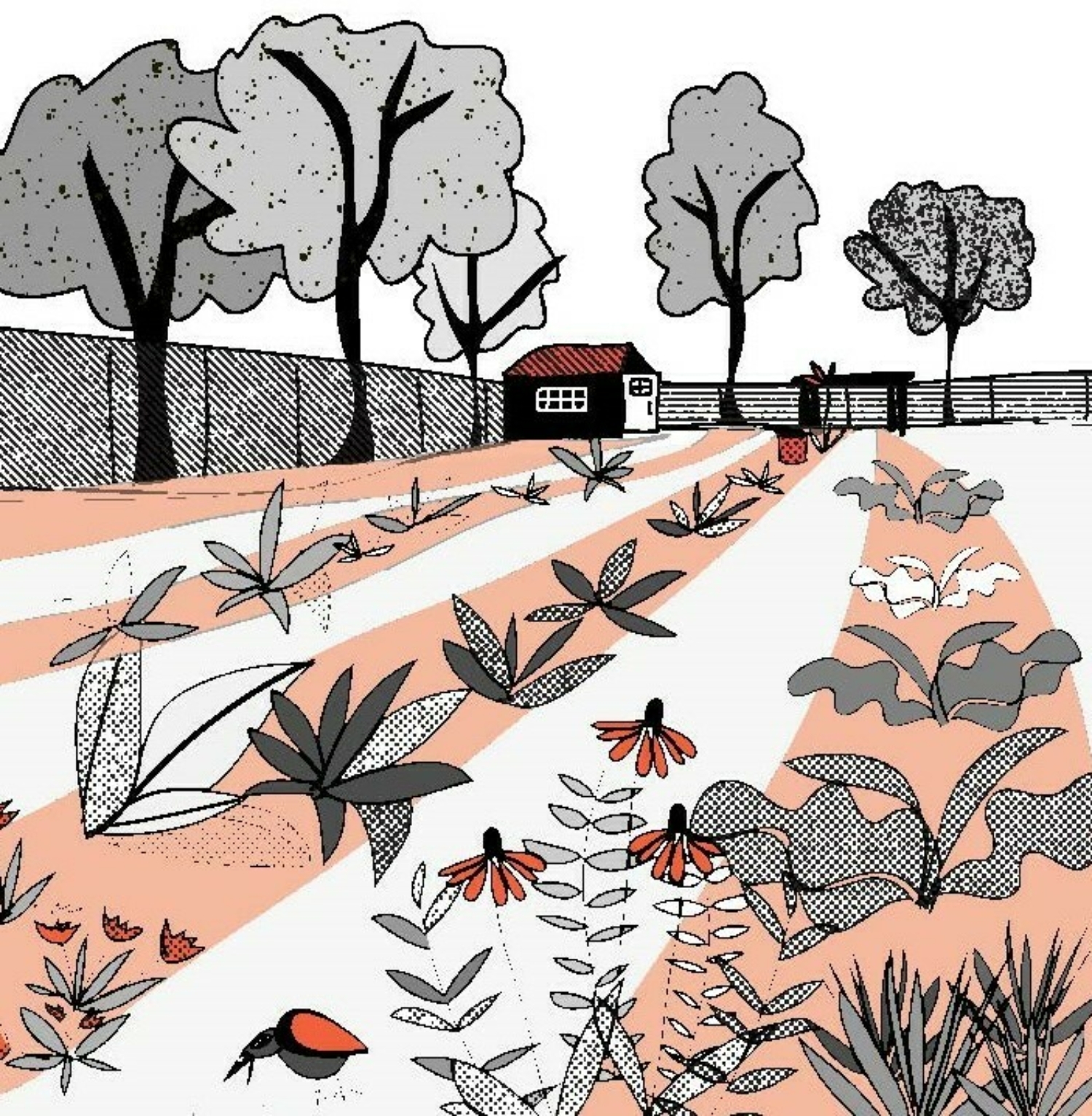 De l'école au jardin