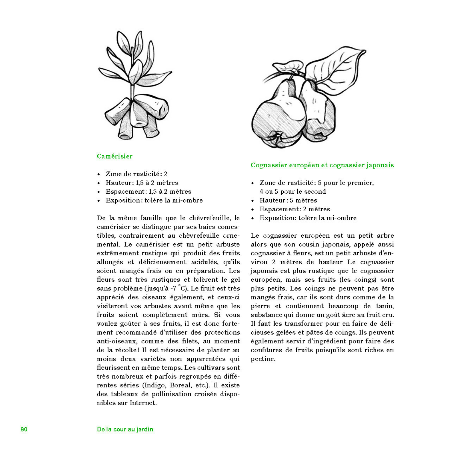 De la cour au jardin