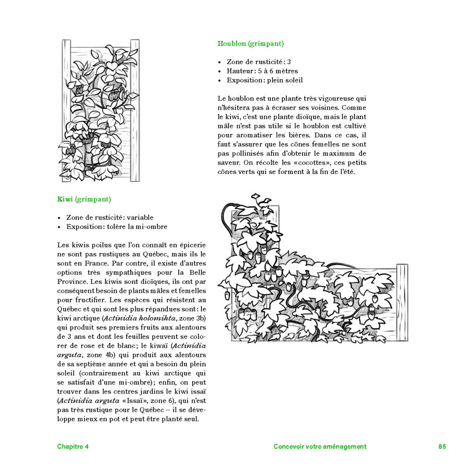 De la cour au jardin