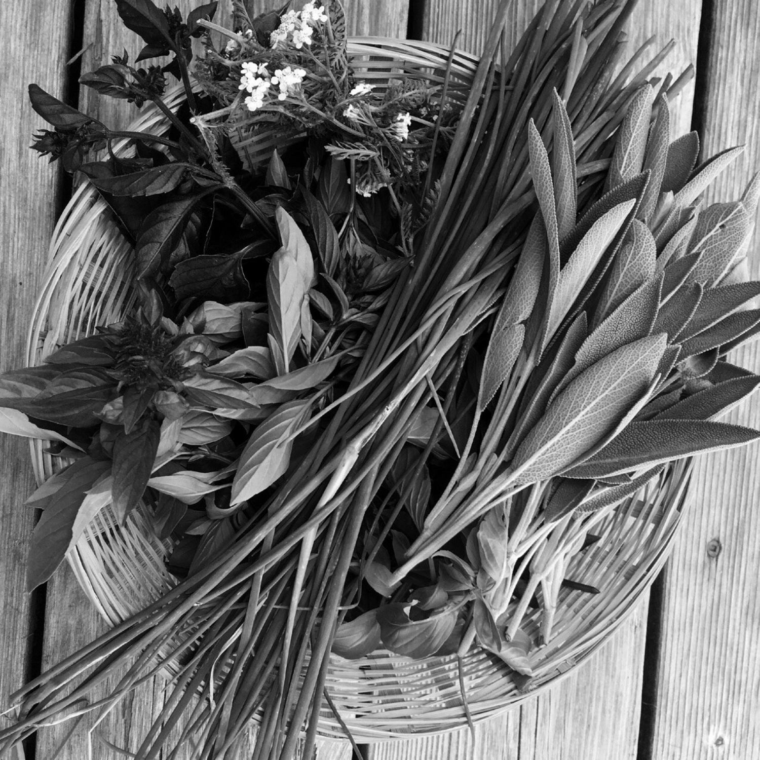 De la cour au jardin