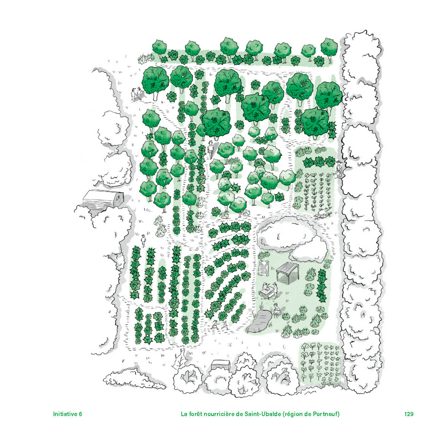 Les forêts nourricières