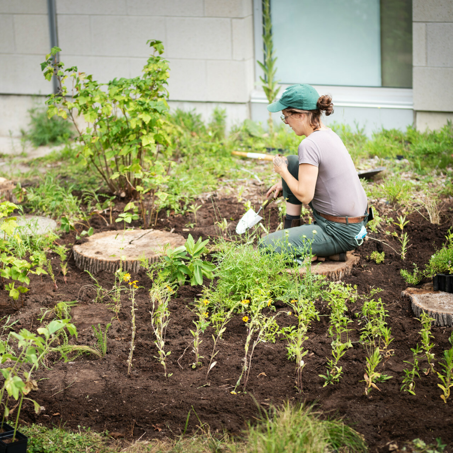 Les forêts nourricières