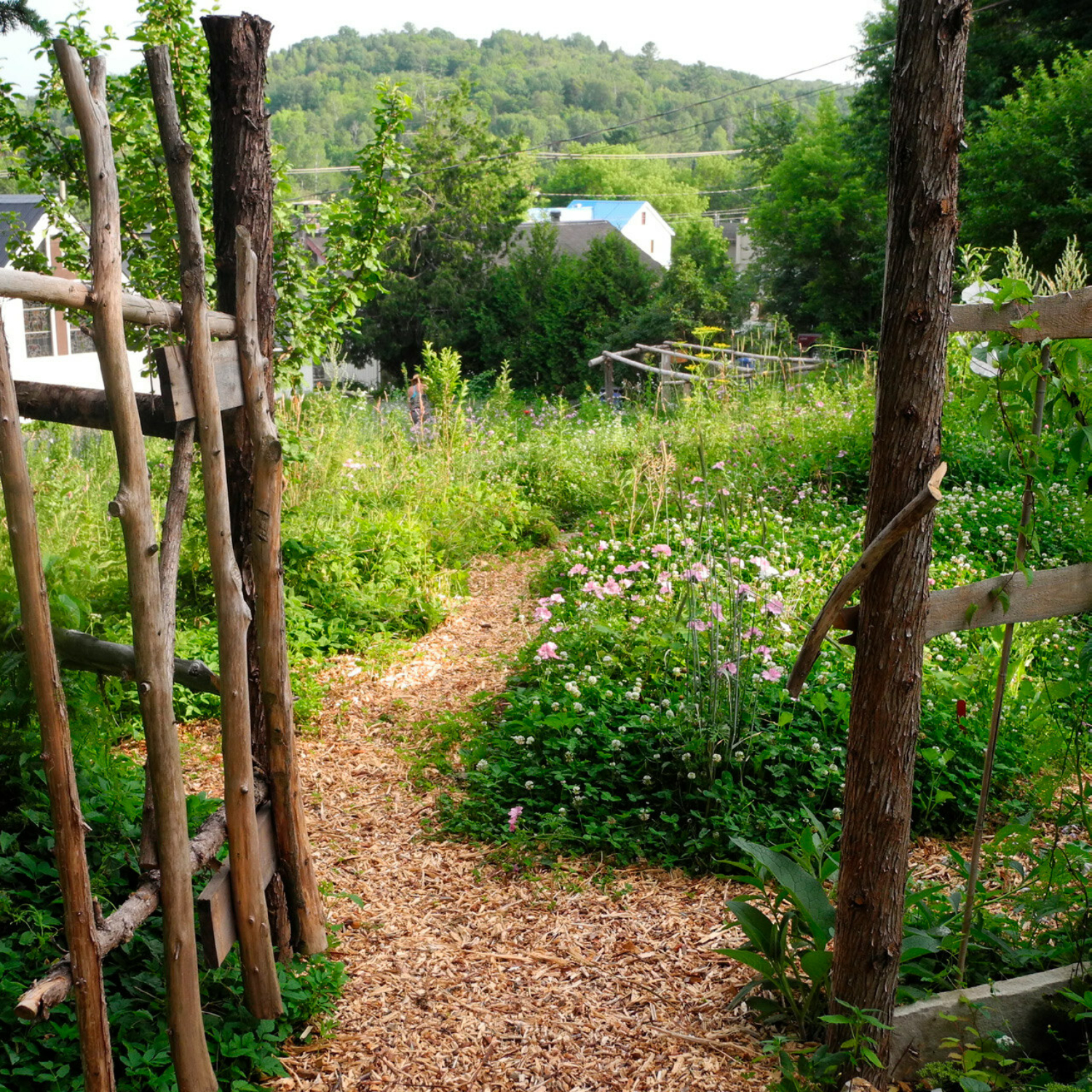 Les forêts nourricières