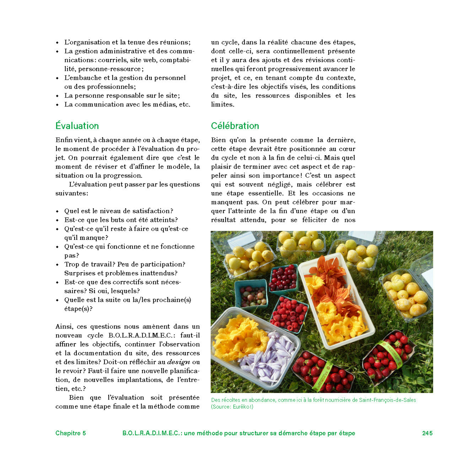 Les forêts nourricières