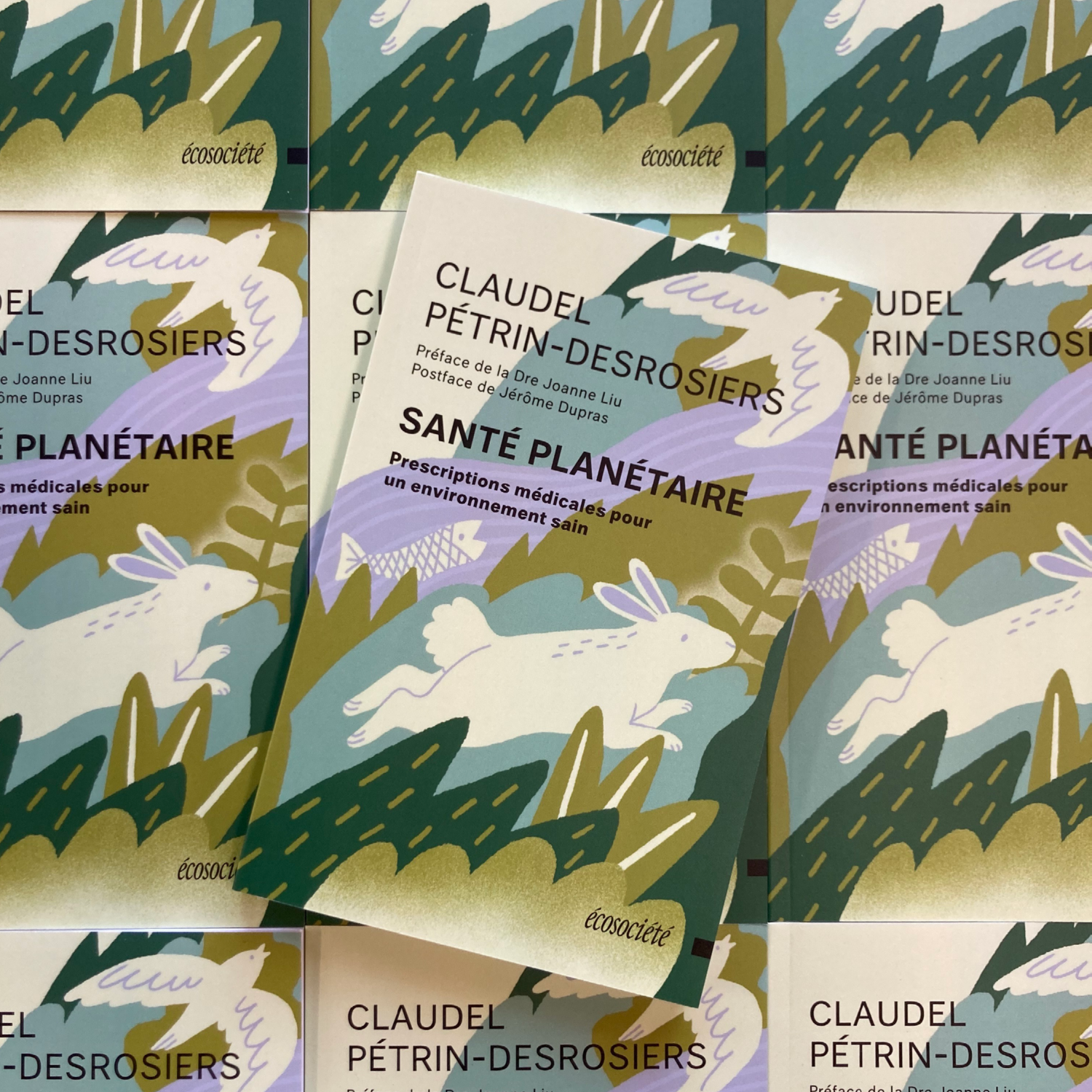 Entrevue avec l'autrice et médecin Claudel Pétrin-Desrosiers