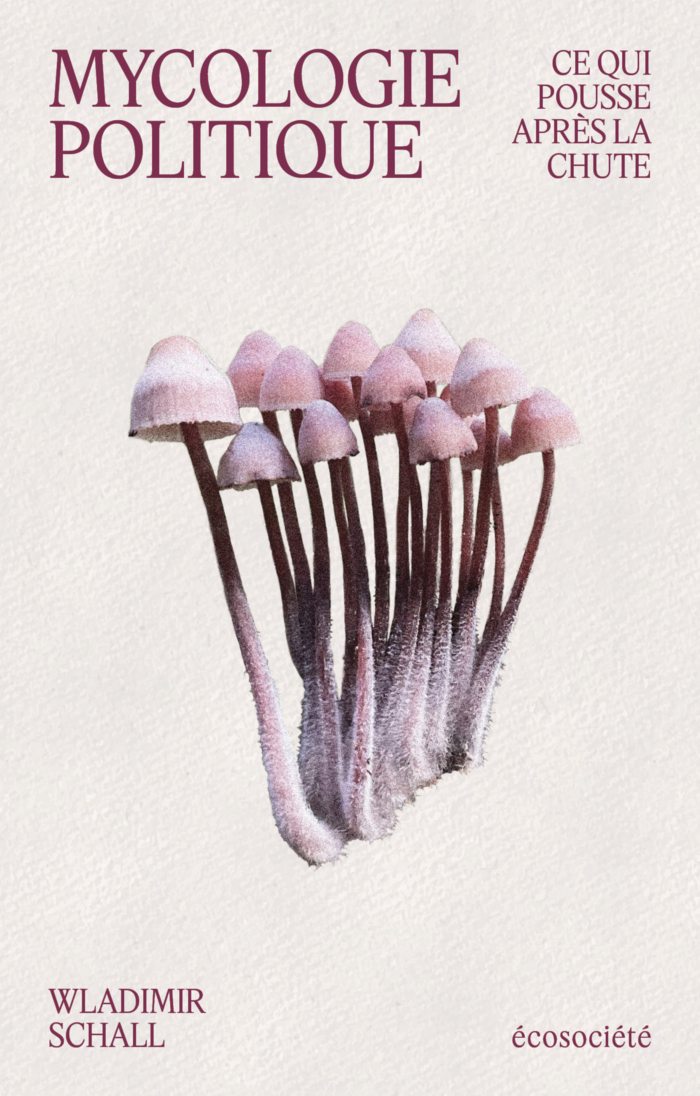 Mycologie politique
